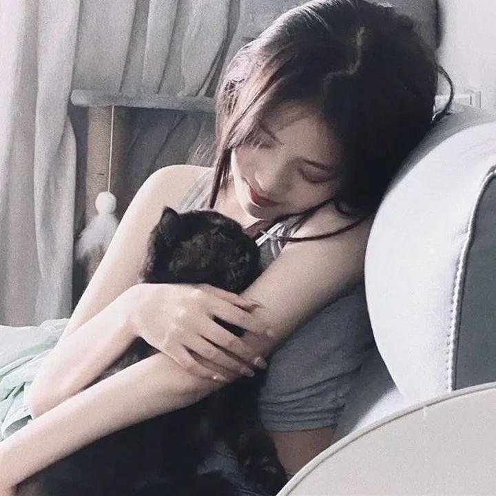 机械西游