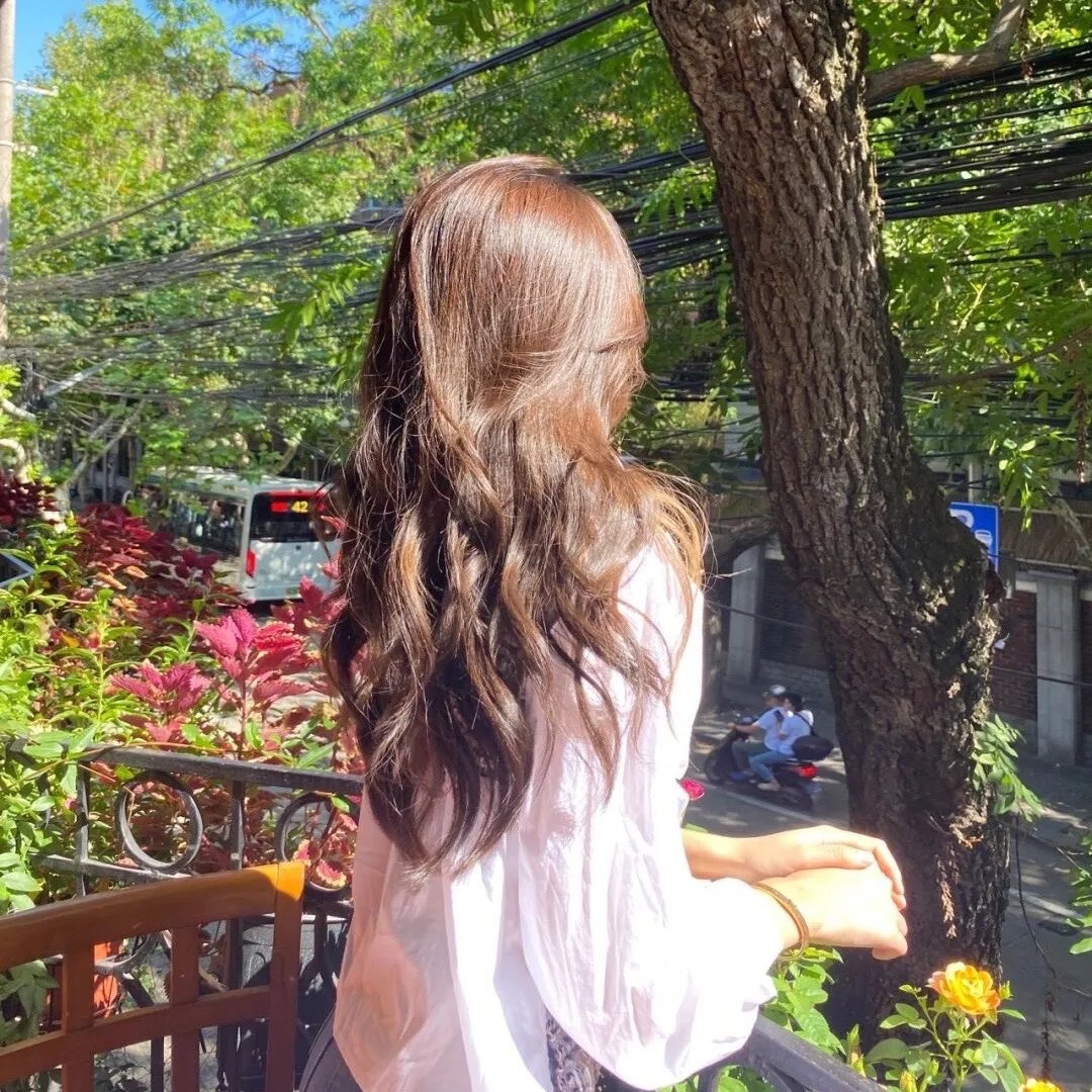 传书到冰封末世